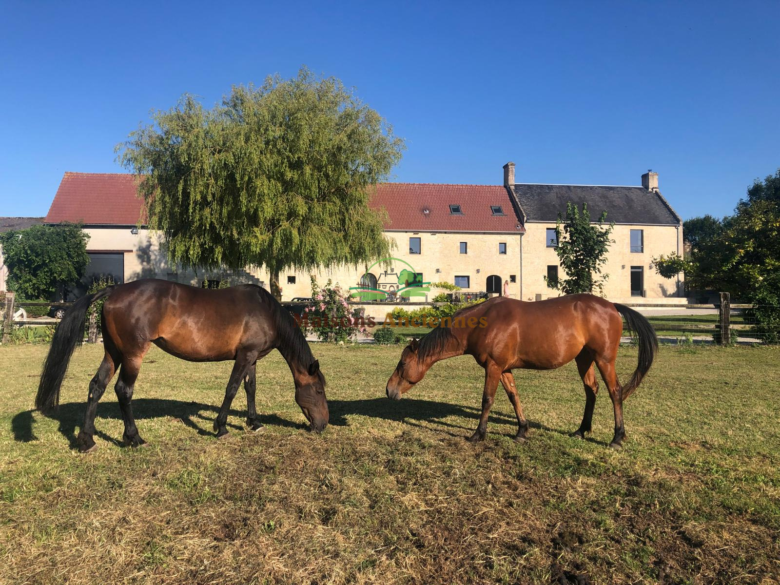 Image_, Propriété, Bayeux, ref :797