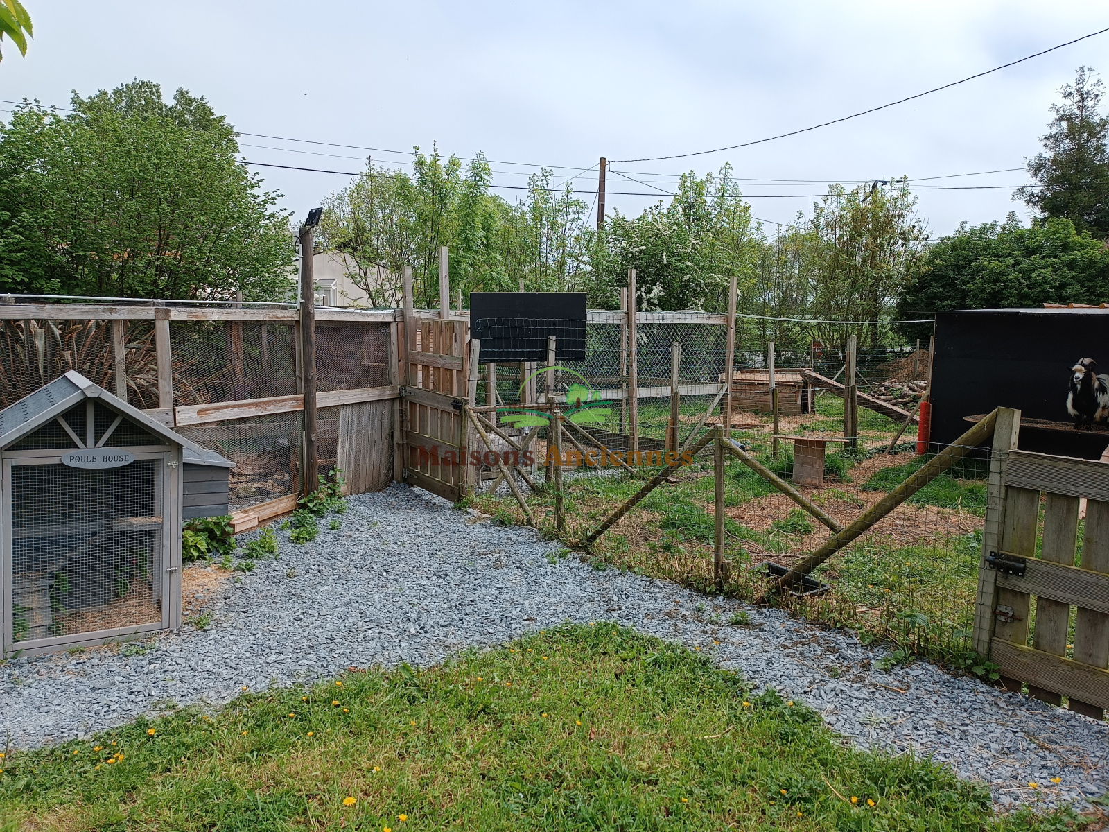 Image_, Maison, Bayeux, ref :0812