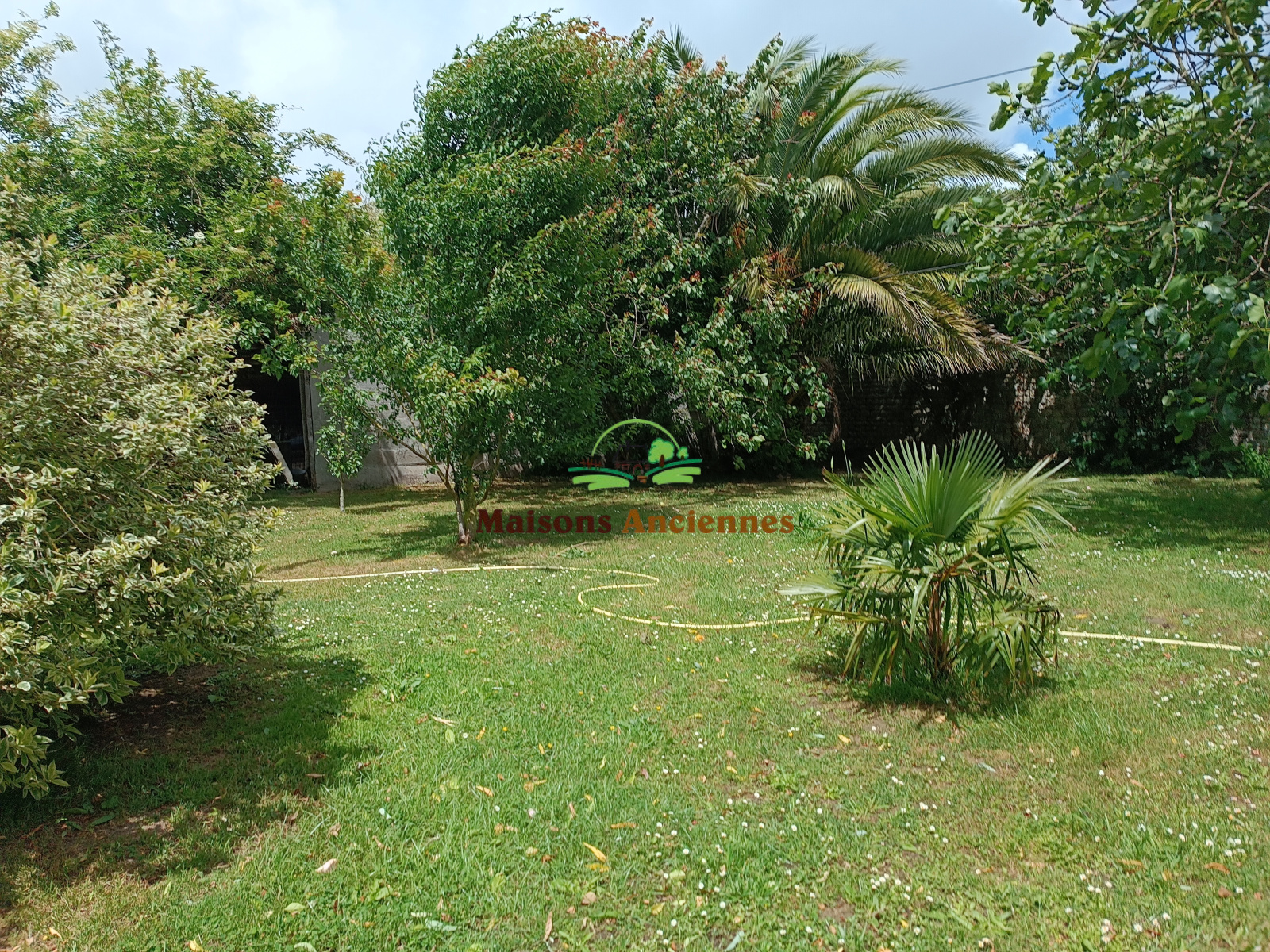 Image_, Maison, Saonnet, ref :833