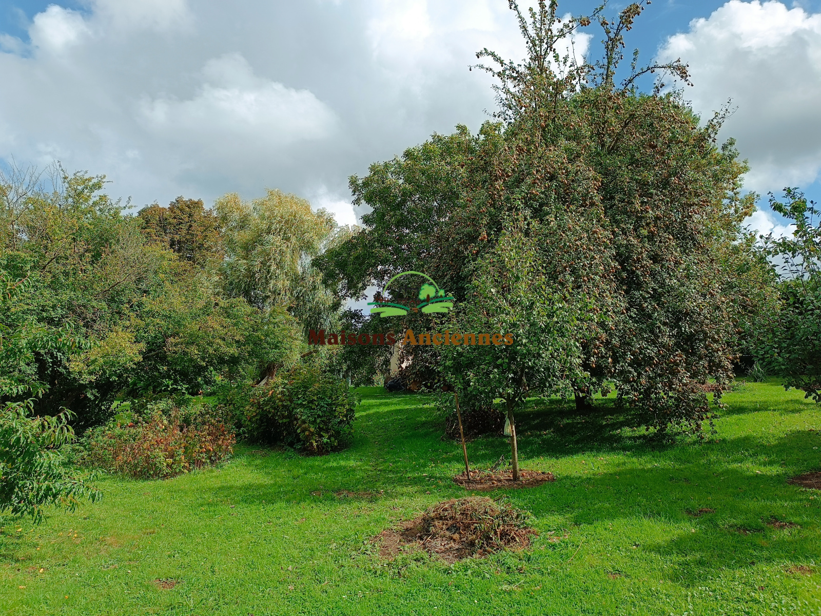 Image_, Maison, Bayeux, ref :821