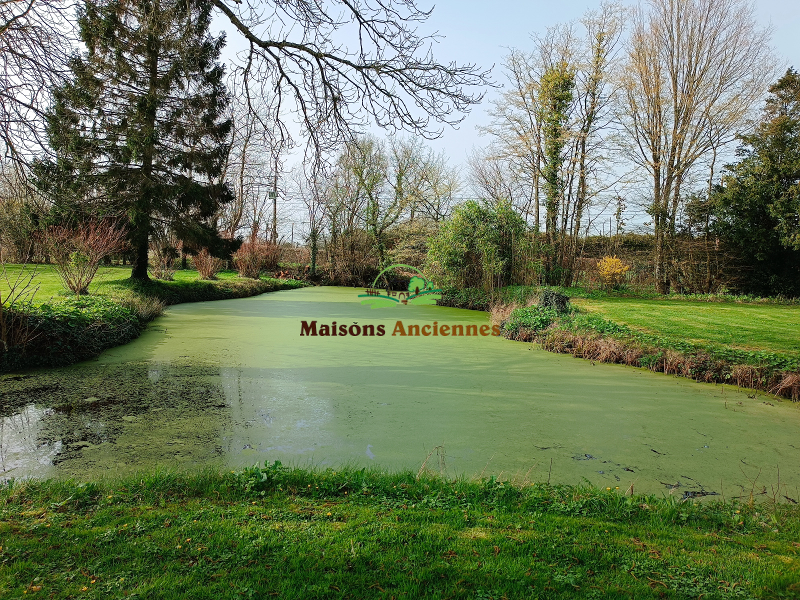 Image_, Maison, Isigny-sur-Mer, ref :829