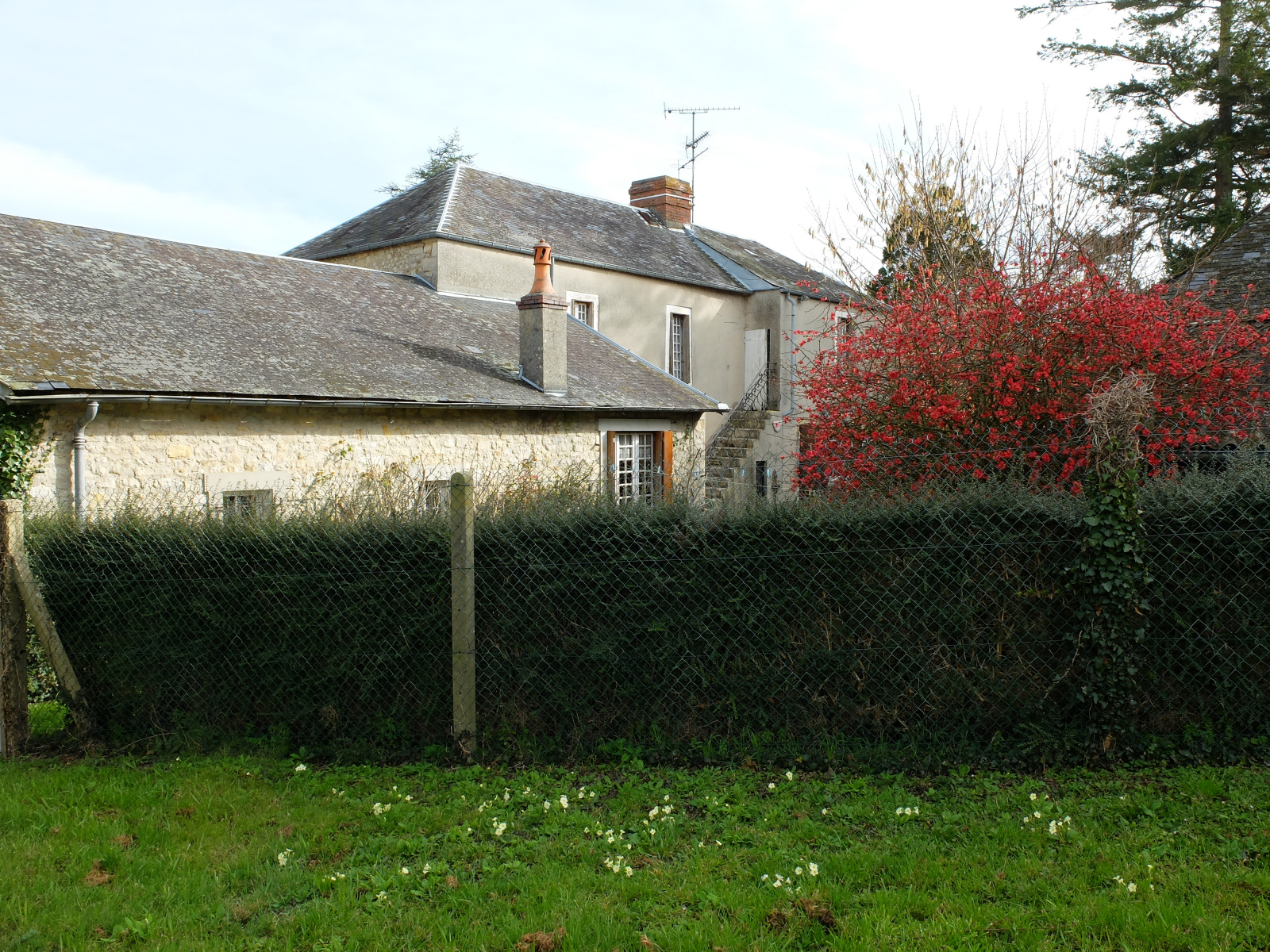 Image_, Maison, Trévières, ref :773