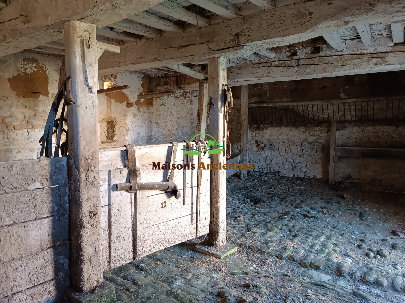 Image_, Maison, Trévières, ref :823